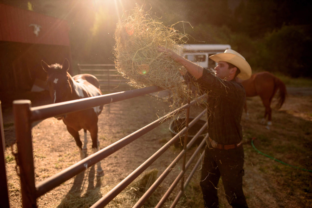 RODEO