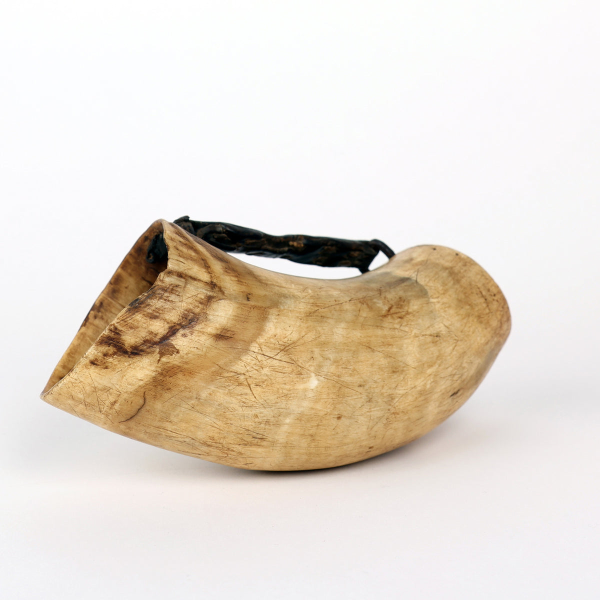 Wyoming Steer Horn Drinking Cup