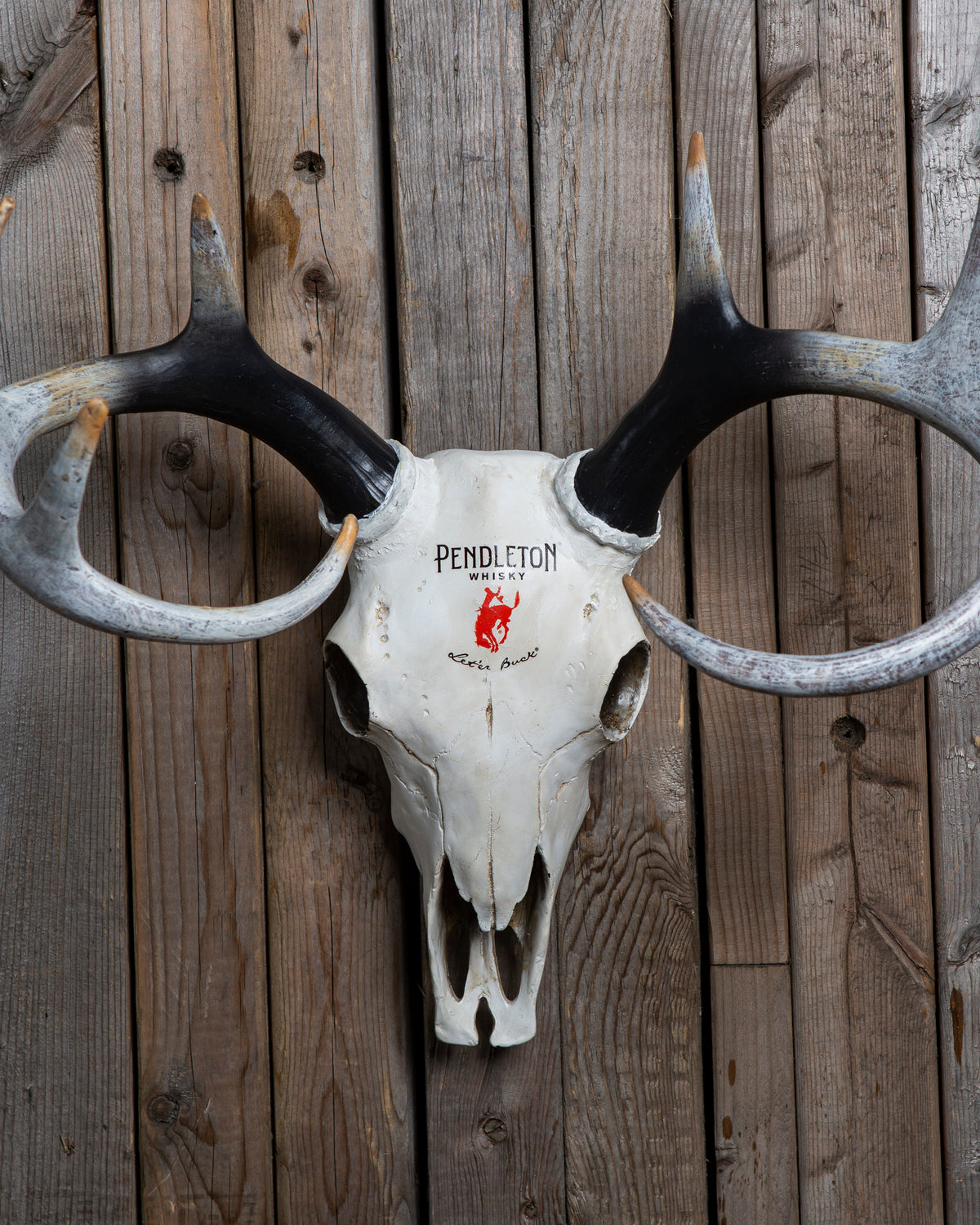 The Pendleton Whisky rustic deer skull is the perfect addition to any cowboy or cowgirl's room